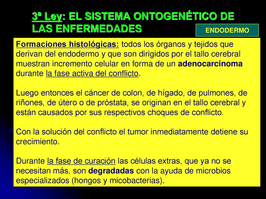 adenoma de próstata según hamer o
